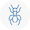 Ant Removals In Edmonton
