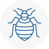 Bed Bug Extermination In Edmonton