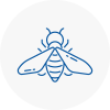 Bee Nest Removal Edmonton