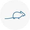 Mice Exterminators In Edmonton
