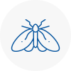 Moth Control Specialists In Edmonton