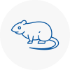 Rat Control Edmonton