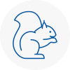 Edmonton Rodent Removals