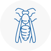 Edmonton Wasp Nest Removal
